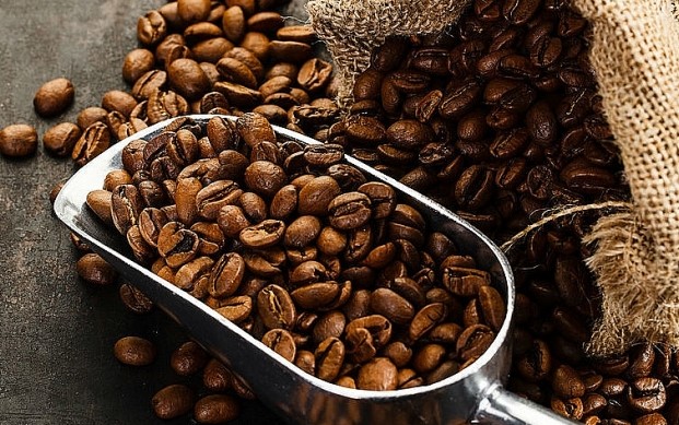 Giá coffe ngày hôm nay Một nội dung bài viết cụ thể về giá bán coffe năm 2023